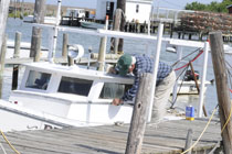 Tangier Island