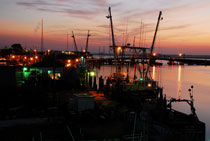 Chincoteague Island, Virginia