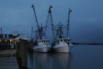 Chincoteague Island, Virginia