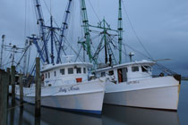 Chincoteague Island, Virginia