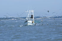 Galveston Bay, Texas