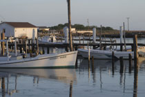 Tangier Island