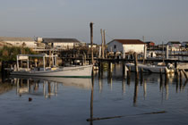 Tangier Island