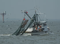 Galveston Bay, Texas